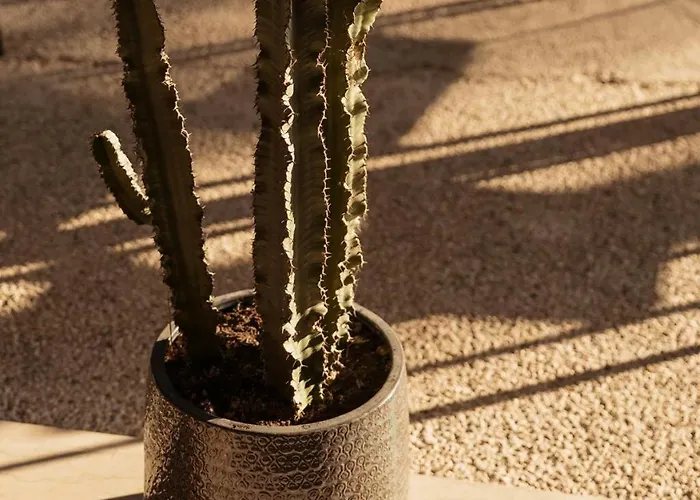 Ξενοδοχείο Laid 4*